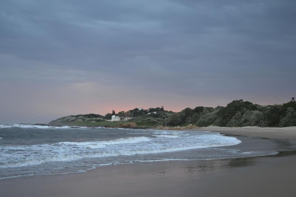 Aloe House : Self-catering In A Natural Paradise Holiday home *